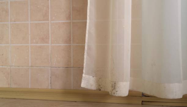 Asbestos and Lead Testing During Mold Inspection in Rowland Heights, CA