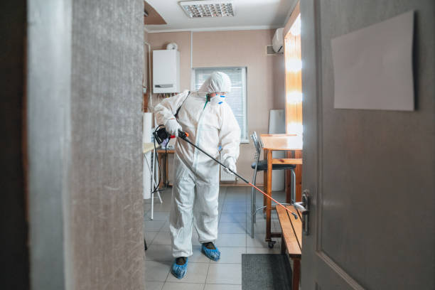 Best Environmental Consulting for Mold Prevention  in Rowland Heights, CA